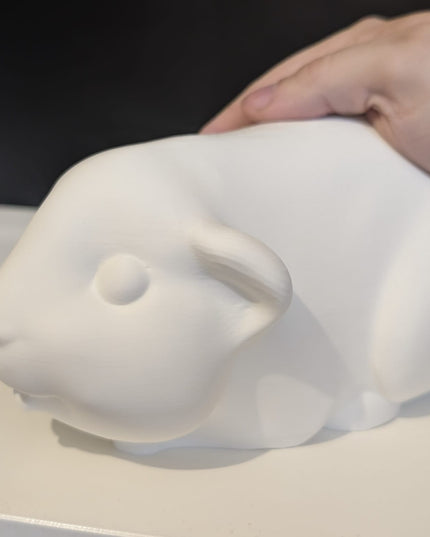 Paint Your Own FULL size Pet Piggie! - DIY Mini Guinea Pig Figurines