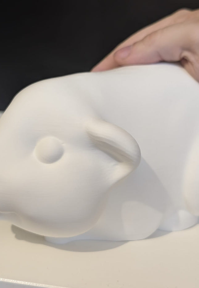 Paint Your Own FULL size Pet Piggie! - DIY Mini Guinea Pig Figurines