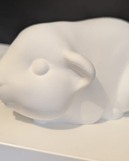 Paint Your Own FULL size Pet Piggie! - DIY Mini Guinea Pig Figurines